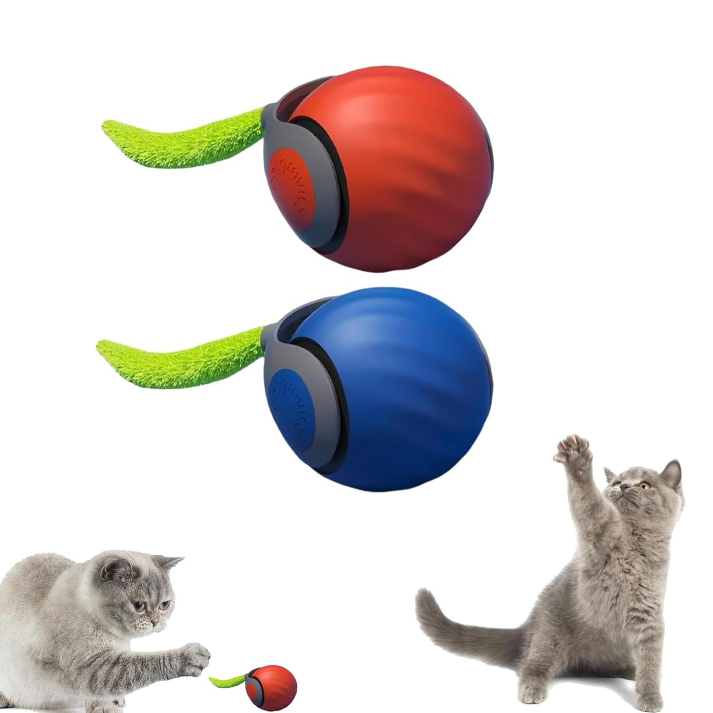 9055
